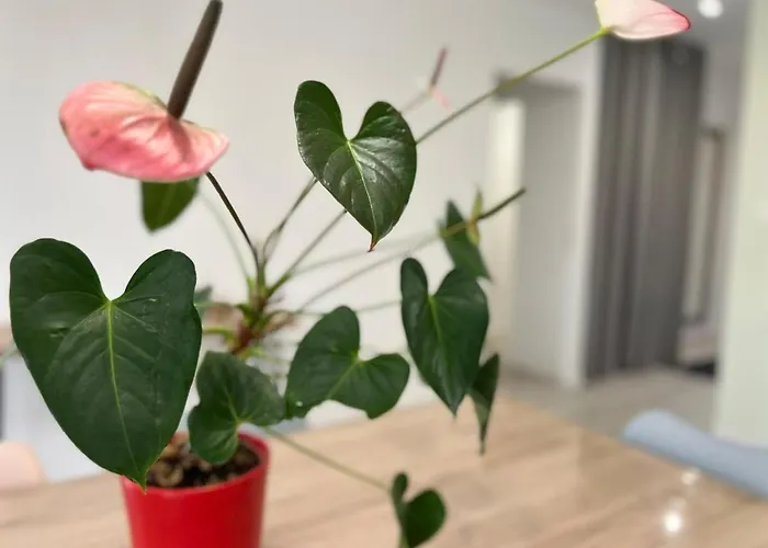 Maison 6 Personnes Petosse