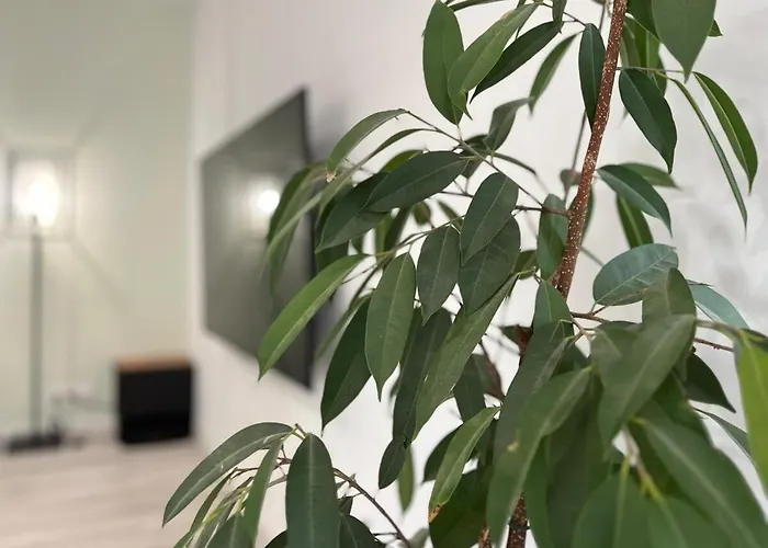 Maison 6 Personnes Villa *